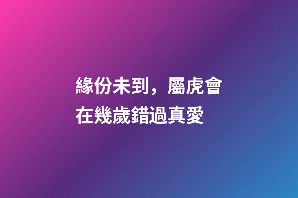 緣份未到，屬虎會在幾歲錯過真愛