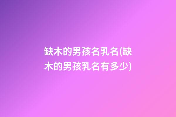 缺木的男孩名乳名(缺木的男孩乳名有多少)