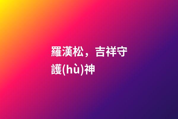 羅漢松，吉祥守護(hù)神