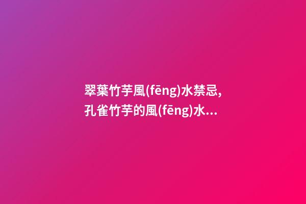 翠葉竹芋風(fēng)水禁忌,孔雀竹芋的風(fēng)水作用擺放有哪些講究