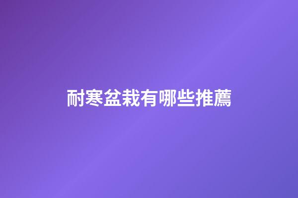 耐寒盆栽有哪些推薦