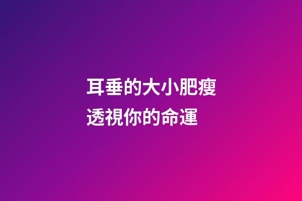 耳垂的大小肥瘦透視你的命運