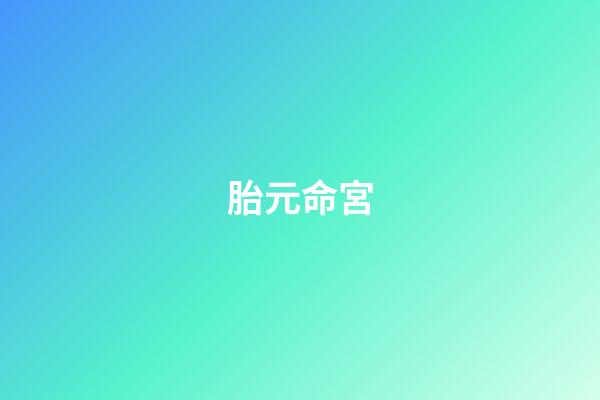 胎元命宮