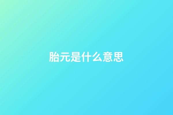 胎元是什么意思
