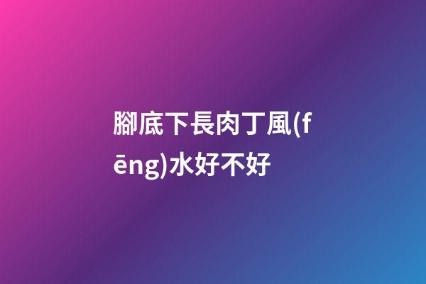 腳底下長肉丁風(fēng)水好不好