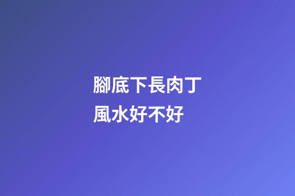 腳底下長肉丁風水好不好