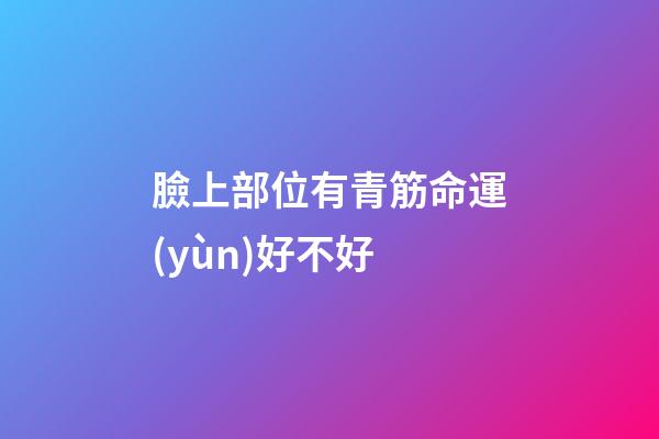 臉上部位有青筋命運(yùn)好不好
