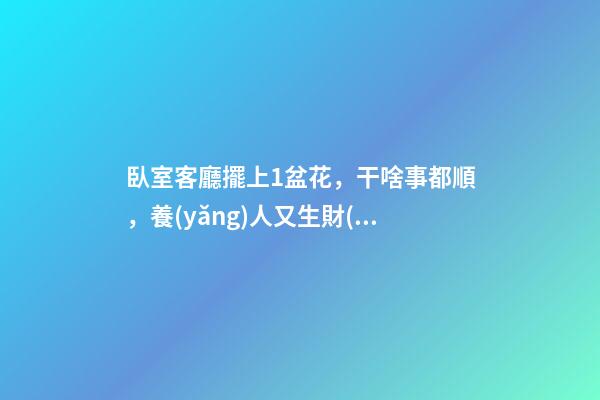臥室客廳擺上1盆花，干啥事都順，養(yǎng)人又生財(cái)！