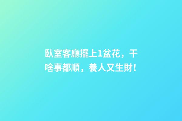 臥室客廳擺上1盆花，干啥事都順，養人又生財！