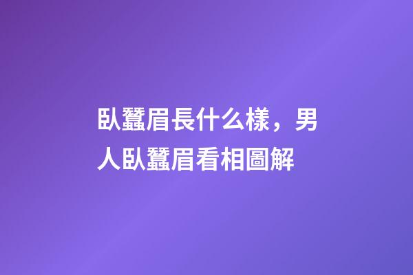 臥蠶眉長什么樣，男人臥蠶眉看相圖解