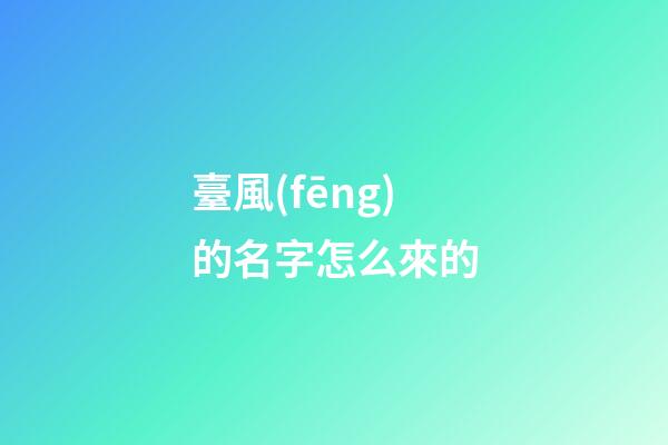 臺風(fēng)的名字怎么來的