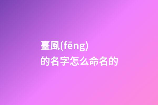 臺風(fēng)的名字怎么命名的