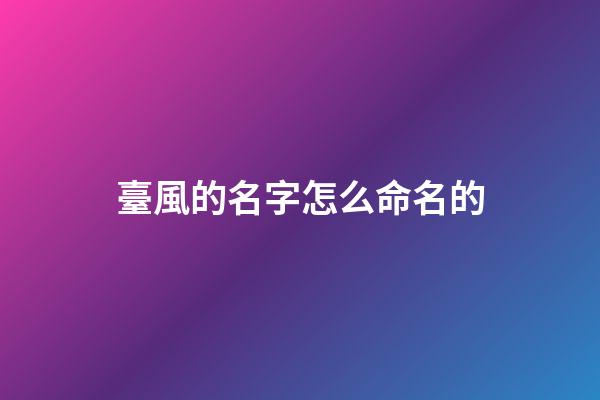 臺風的名字怎么命名的