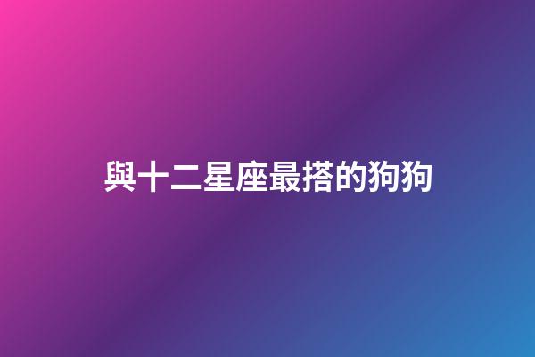 與十二星座最搭的狗狗-第1張-星座運勢-玄機派