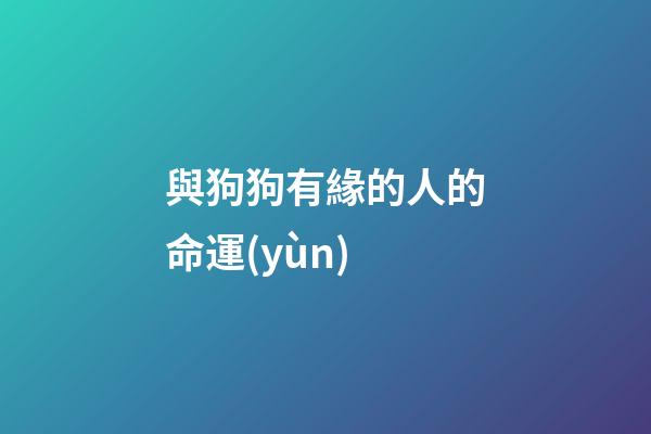 與狗狗有緣的人的命運(yùn)(河北一女子帶孩子走親戚，遭遇熱情好客的狗狗)-第1張-觀點(diǎn)-玄機(jī)派