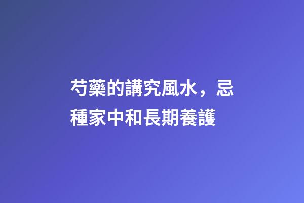 芍藥的講究風水，忌種家中和長期養護