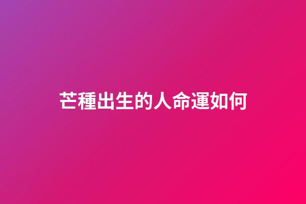 芒種出生的人命運如何