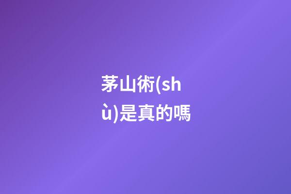 茅山術(shù)是真的嗎
