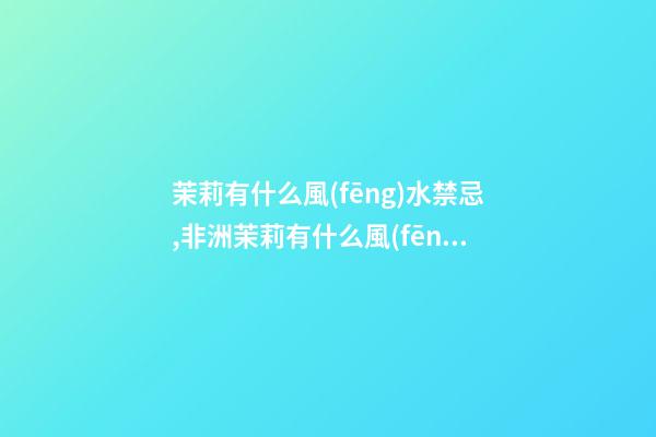 茉莉有什么風(fēng)水禁忌,非洲茉莉有什么風(fēng)水作用？
