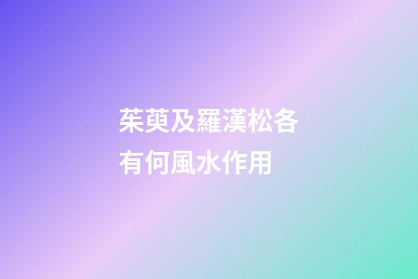 茱萸及羅漢松各有何風水作用?
