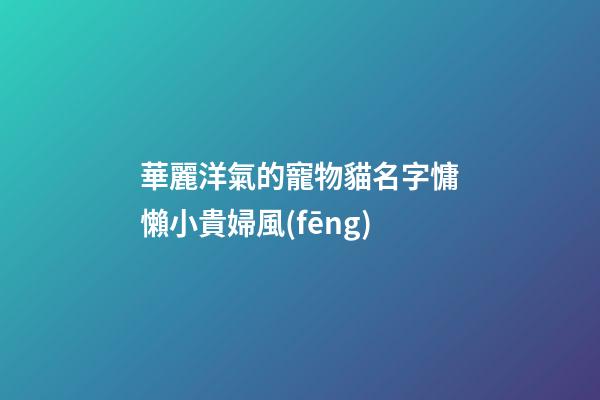 華麗洋氣的寵物貓名字慵懶小貴婦風(fēng)