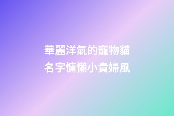 華麗洋氣的寵物貓名字慵懶小貴婦風