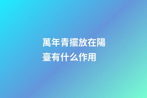 萬年青擺放在陽臺有什么作用