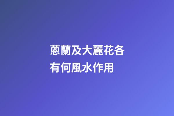 蔥蘭及大麗花各有何風水作用?