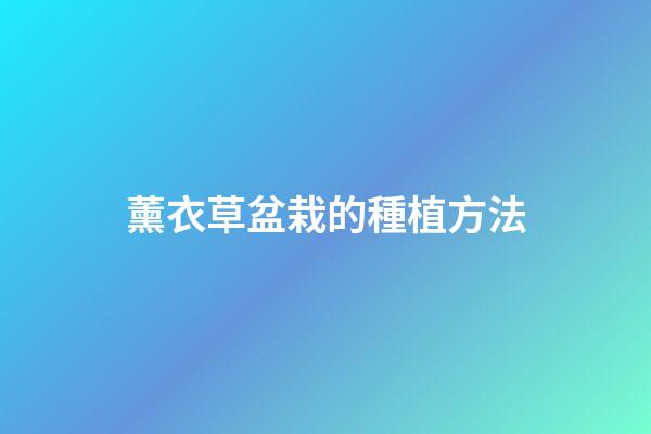 薰衣草盆栽的種植方法