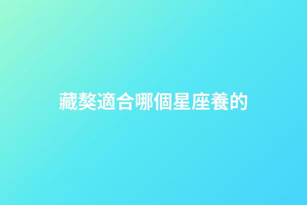 藏獒適合哪個星座養的