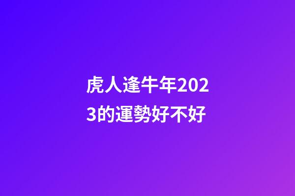 虎人逢牛年2023的運勢好不好