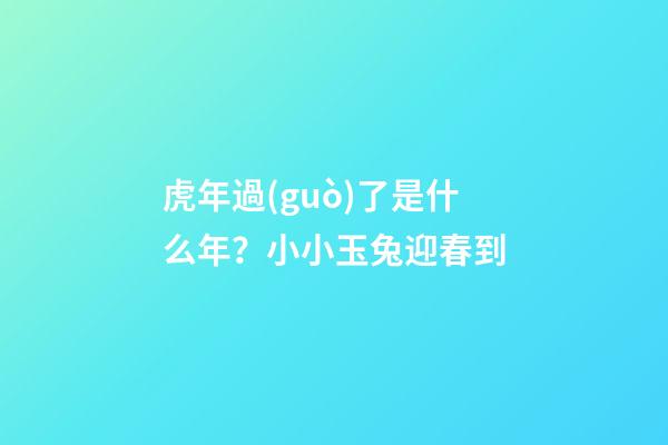虎年過(guò)了是什么年？小小玉兔迎春到