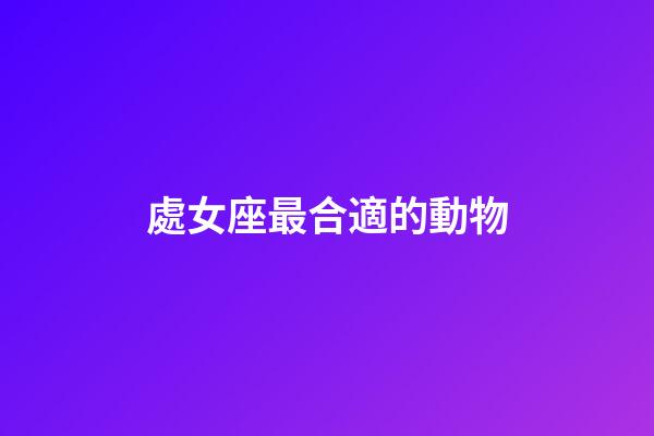 處女座最合適的動物