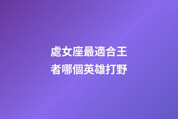 處女座最適合王者哪個英雄打野-第1張-星座運勢-玄機派