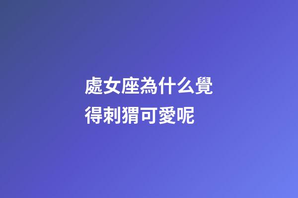 處女座為什么覺得刺猬可愛呢-第1張-星座運勢-玄機派