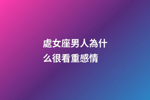 處女座男人為什么很看重感情-第1張-星座運勢-玄機派