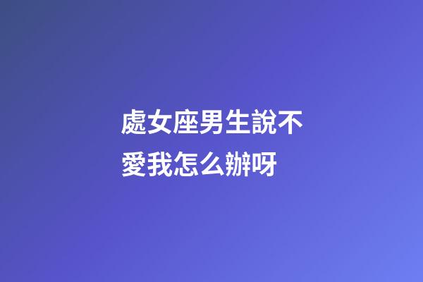 處女座男生說不愛我怎么辦呀-第1張-星座運(yùn)勢(shì)-玄機(jī)派
