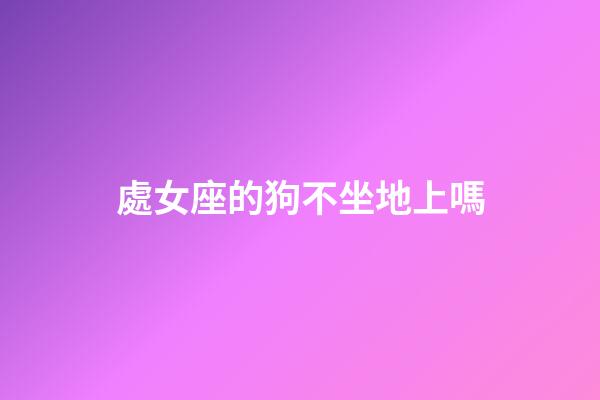 處女座的狗不坐地上嗎-第1張-星座運勢-玄機派