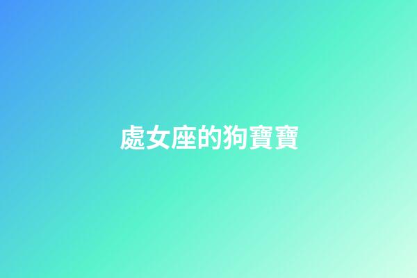 處女座的狗寶寶