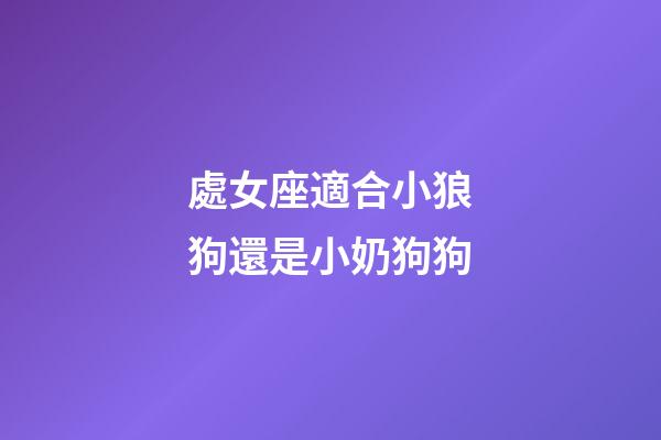 處女座適合小狼狗還是小奶狗狗-第1張-星座運勢-玄機派