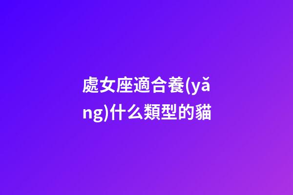 處女座適合養(yǎng)什么類型的貓-第1張-星座運勢-玄機派