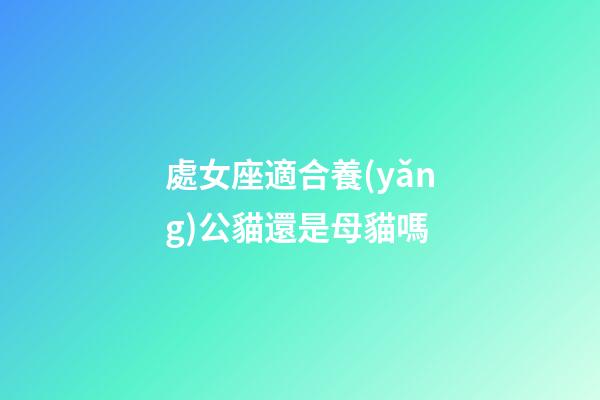處女座適合養(yǎng)公貓還是母貓嗎