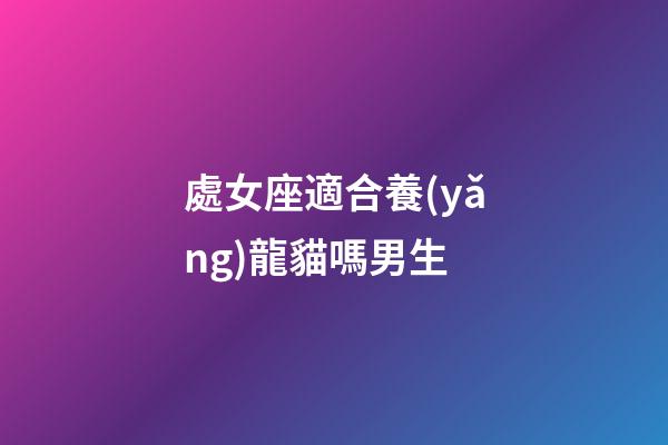 處女座適合養(yǎng)龍貓嗎男生-第1張-星座運勢-玄機派