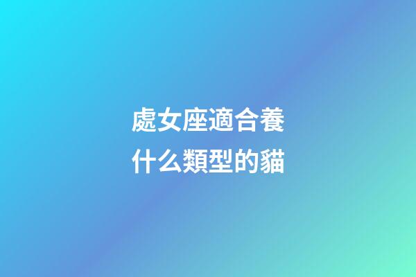 處女座適合養什么類型的貓