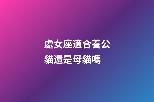 處女座適合養公貓還是母貓嗎