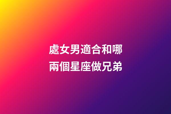 處女男適合和哪兩個星座做兄弟-第1張-星座運勢-玄機派