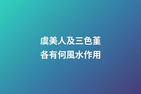 虞美人及三色堇各有何風水作用?