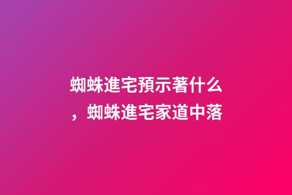 蜘蛛進宅預示著什么，蜘蛛進宅家道中落