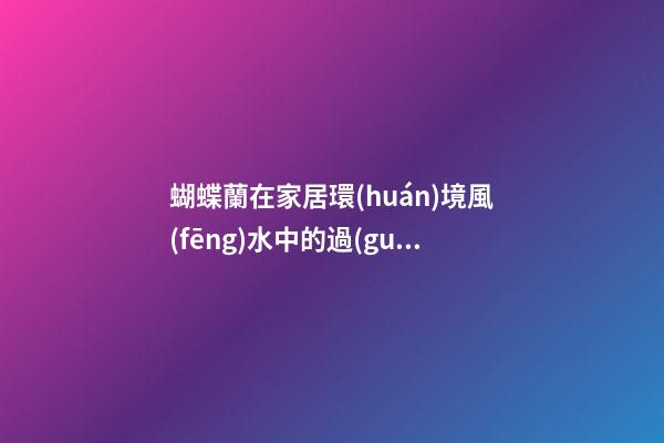 蝴蝶蘭在家居環(huán)境風(fēng)水中的過(guò)人之處