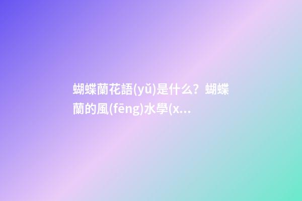 蝴蝶蘭花語(yǔ)是什么？蝴蝶蘭的風(fēng)水學(xué)應(yīng)用